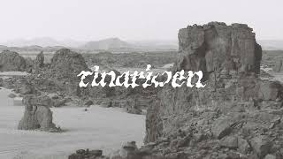 Tinariwen  Anemouhagh Official Audio [upl. by Shaer]