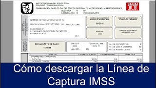 ¿Cómo descargar una LINEA DE CAPTURA del IMSS 📄✅  Formato de PAGO del IMSS RÁPIDO Y FÁCIL [upl. by Marb]