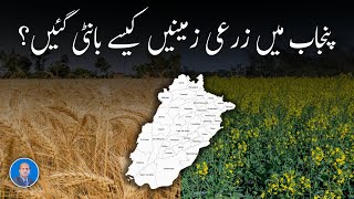 How Agricultural Lands were distributed in Punjab  punjab property [upl. by Airdnekal928]