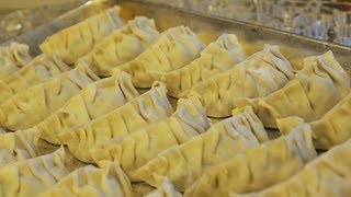 How to Make Panfried Chinese Dumplings  Potstickers  Jiao Zi  煎餃子 [upl. by Beard280]