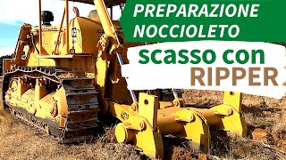 PREPARAZIONE NOCCIOLETO SCASSO CON RIPPER per favorire il drenaggio [upl. by Yerahcaz]