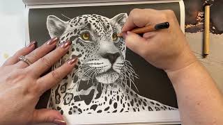 Adult Coloring  Intricate Ink Animals in Detail [upl. by Anail]