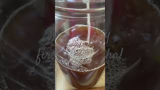 Making healthy kombucha [upl. by Deppy]