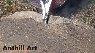 Casting a Bigger Fire Ant Colony with Molten Aluminum Cast 057 [upl. by Prisca899]