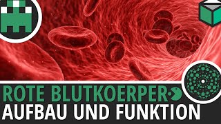 Blutgruppen bestimmen – Live Experiment [upl. by Aitak]