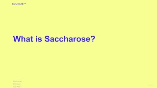 What is Saccharose [upl. by Nosidam847]