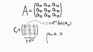 Cofactor matrix of A [upl. by Aikahc]