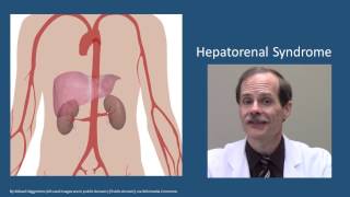 Hepatorenal syndrome [upl. by Yaresed322]