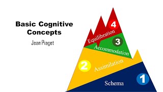 Basic Cognitive Concepts Schema Assimilation Accommodation Equilibration [upl. by Lilithe]