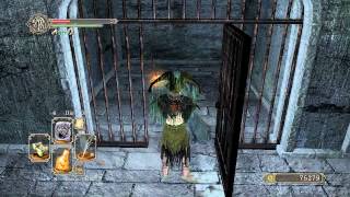 Dark Souls 2 Walkthrough  Everything possible in Lost Bastille 2Belfry LunaSinners Rise [upl. by Aonian]