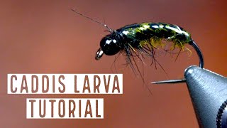 Caddis Larva Fly Pattern Fly Tying Tutorial [upl. by Shayne246]