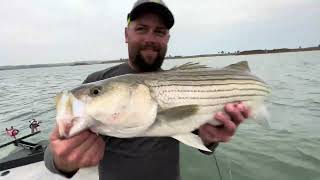 Topwater Striped Bass [upl. by Adnik]