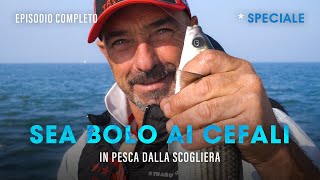 Pesca a BOLOGNESE in MARE CEFALI dalla SCOGLIERA » SPECIALE E trabuccofishing​ [upl. by Egbert]