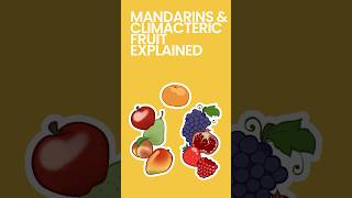 Mandarins Climacteric amp NonClimacteric Fruit Explained shorts [upl. by Ahsilla]