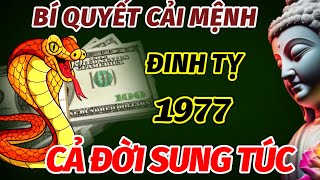 BÍ QUYẾT CẢI MỆNH ĐỔI VẬN CHO TUỔI ĐINH TỴ SINH 1977 SAU TUỔI 48 GIÀU SANG GẤP BỘI CẢ ĐỜI SUNG TÚC [upl. by Ileana811]