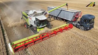 Getreideernte 2024  Mähdrescher CLAAS LEXION 8600  Scania amp Mercedes LKW Combine Harvester Harvest [upl. by Meta]