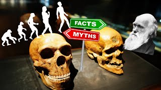 Revealing the Truth Debunking Myths amp Misconceptions About Human Evolution [upl. by Blatt148]