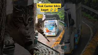 Kucing kaget Klason Truk Canter HDX 125 capcut truck kucing [upl. by Shae]