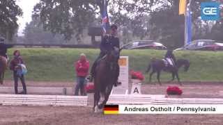 CIC SCHENEFELD 2013  DRESSUR [upl. by Ko]