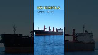 Pilot boat approaching the ship KUMPULA sea arctic ship [upl. by Aikal]