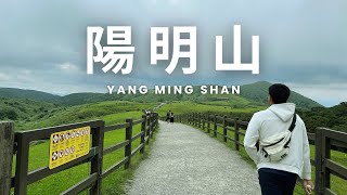 Yangmingshan  陽明山  小油坑  擎天崗  臺北  台灣  夏天 [upl. by Pacifica865]