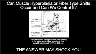 Can Muscle Hyperplasia or Fiber Type Shifts Occur and Can We Control It THE ANSWER MIGHT SHOCK YOU [upl. by Fonseca]