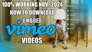 WORKING NOV 2024  HOW TO DOWNLOAD PROTECTED VIMEO EMBDED PRIVATE VIDEOS  SAVE FROM VIMEO [upl. by Laundes]