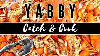 Yabby Catch N Cook  How to Catch Cook and Pickle Yabbies [upl. by Spatola]