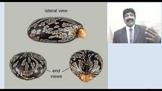 Lipids Lecture 3 for Pharm D students 2 Nov 2024 [upl. by Gabi]