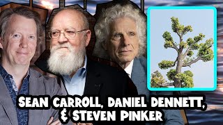 Does Physics Show that the Universe is Conscious  Sean Carroll Daniel Dennett amp Steven Pinker [upl. by Enilrahc135]