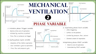 Phase Variable Trigger limitcyclingPEEP in mechanical ventilation [upl. by Krilov348]