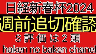 日経新春杯2024 週前追切確認 S評価は2頭 [upl. by Enomal]