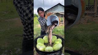 How to cook fish crispy with vegetable recipe shortvideo shorts cooking food recipe [upl. by Itirahc]