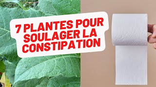 7 plantes du jardin créole pour soulager la constipation de façon radicale [upl. by Ree]