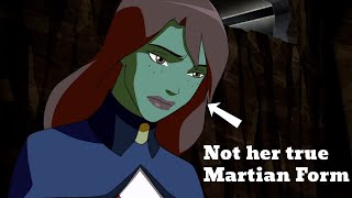 Times where animation tackled serious issues part 1  Young Justice [upl. by Enileuqkcaj]