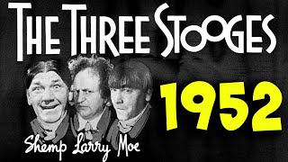 The THREE STOOGES Film Festival  Full Episodes  1952 [upl. by Rebba]