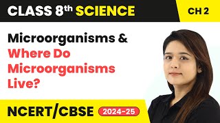 Microorganisms and Where Do Microorganisms Live  Class 8 Science Chapter 2  CBSE 202425 [upl. by Anaahs]