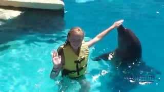 Swimming with the dolphins Cancun Mexico September 2013 [upl. by Allenaj117]