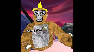 Your adopted son gorillatag gorillatagmoments gorillatagmemes vr funnymoments gtag [upl. by Euginom]