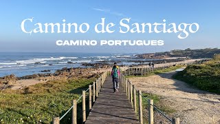 Camino de Santiago  Camino Portugues 2022  Porto to Santiago  11 Days  280KM 175 miles [upl. by Mcnelly]