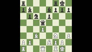 He blundered his rook Stockfish Lite said I had an elo of 2000 chess blunder rook [upl. by Kalila801]