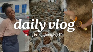 A day in my life  Geologist  Food [upl. by Munmro]