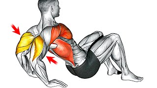 10 Best Triceps Exercises at Home No Weights [upl. by Bound]