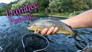 DUNAJEC FISHING  Trout spinning on soft plastic worms [upl. by Beverley]