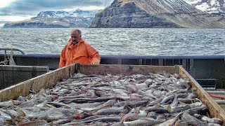 Sole Fish Trawl Fishing  Coldwater Vessel Fishing  Modern Fishing Aquaculture [upl. by Drawoh]