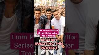 Liam Paynes Netflix Series Halted After Tragic passing [upl. by Geilich]