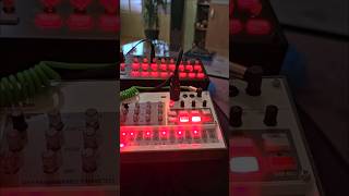 korg sq1 and volca sample 2 beats [upl. by Elbart914]