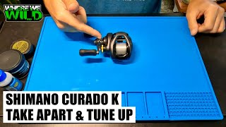 SHIMANO CURADO 201 K  Take Apart amp Tune Up  Reel Maintenance [upl. by Nosreme]