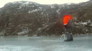 Icefishing for Thorny skate in Isfiske etter Kloskate i Frafjord Norway [upl. by Gauthier]