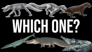 What Exactly is quotCrocodilequot  The Multiple Level of quotCrocodilequot [upl. by Gnut676]